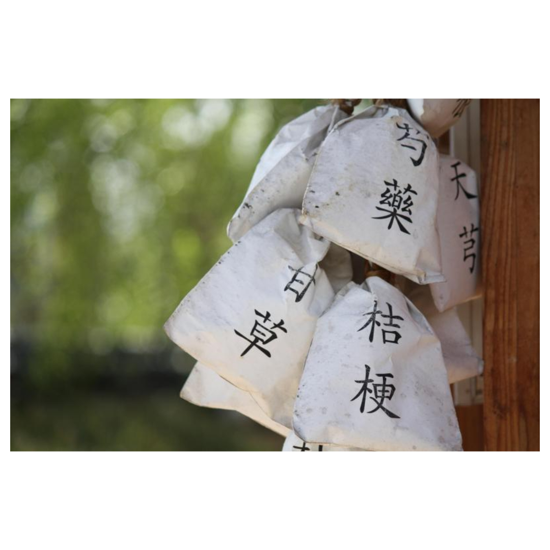 녹용 효능과 관련된 사진입니다.