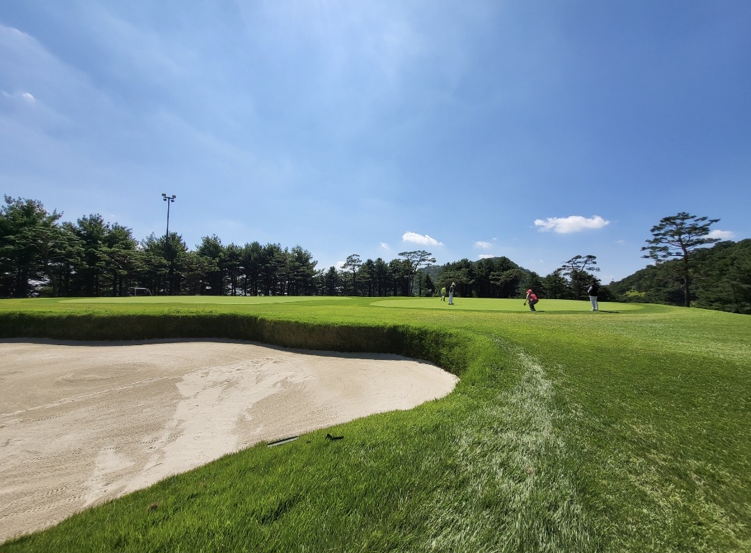 로제비앙CC 그린앞벙커