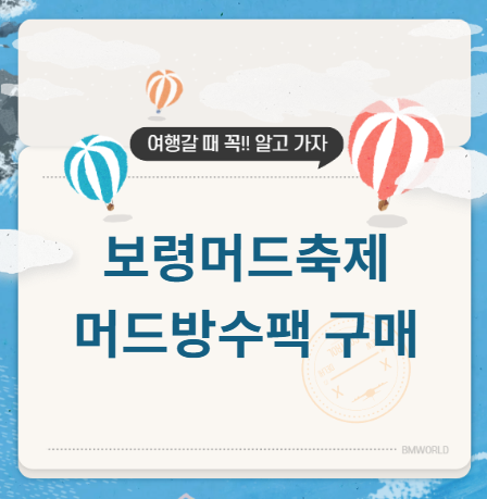 보령 머드축제 방수팩