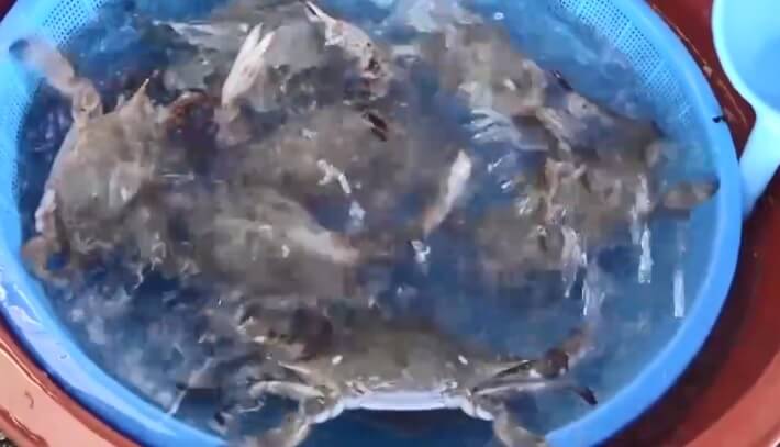 오늘N 수상한 가족 영광 설도항 새우젓 판매 신성호 주문방법