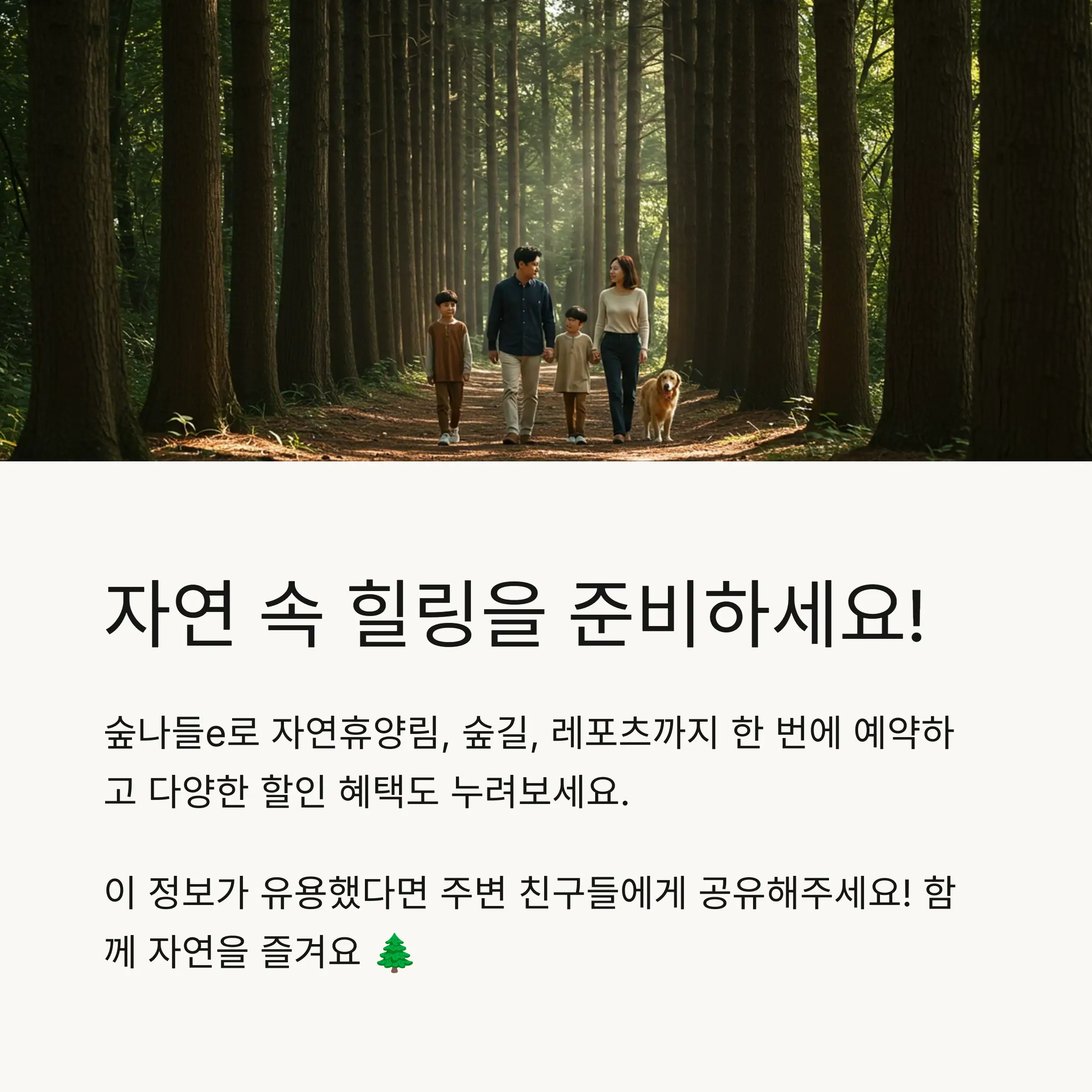 📋 목차