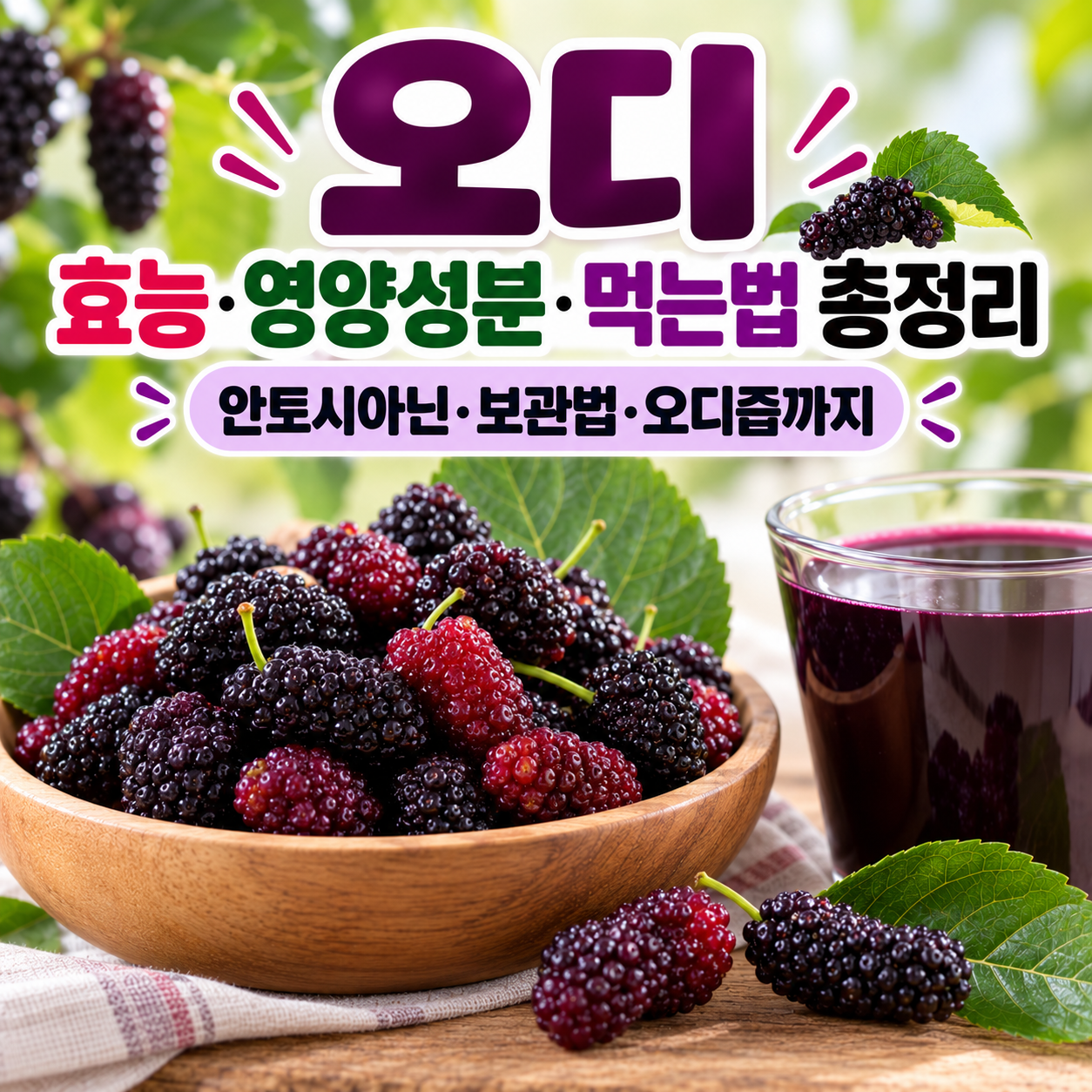 오디 효능