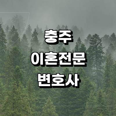 충주시 이혼 변호사