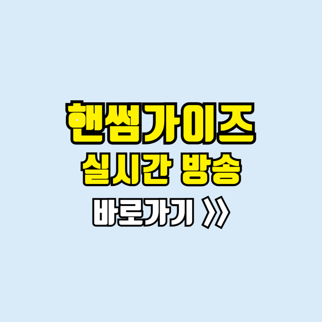 핸썸가이즈 실시간