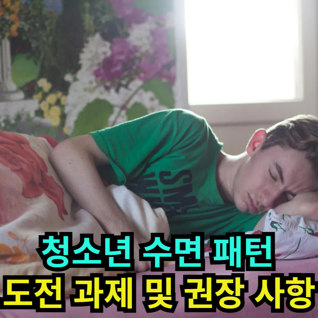 청소년 수면 패턴 도전 과제 및 권장 사항