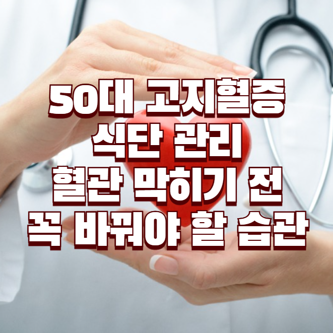50대 고지혈증 식단 관리, 혈관 막히기 전 꼭 바꿔야 할 습관