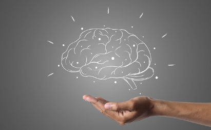 21세기의 뇌과학: 기술 발전과 신경과학의 융합