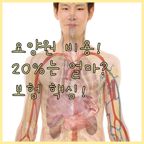 장기요양보험 적용 요양원 비용 구조와..