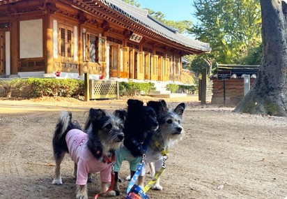 6월 여행지 추천