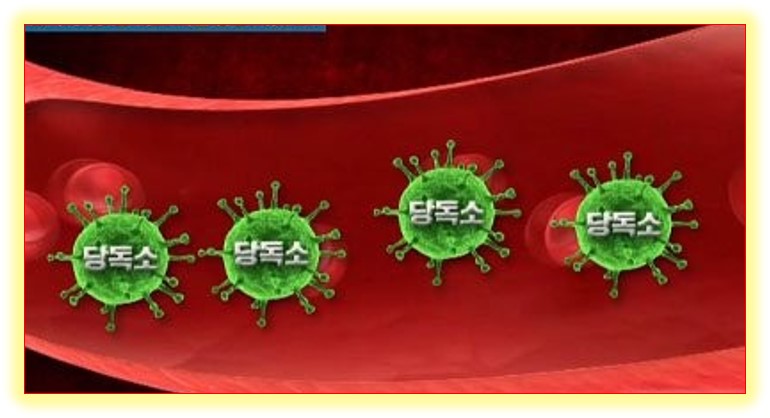 안티에이징생활