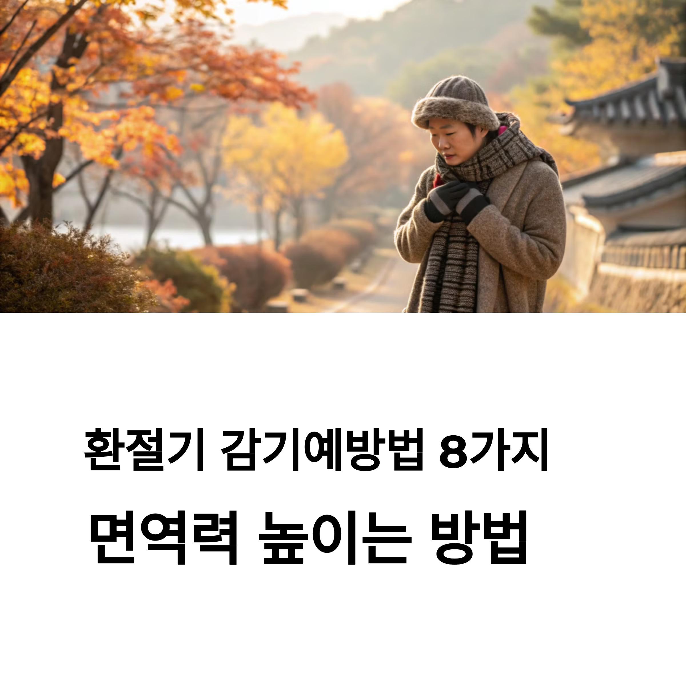인트로
