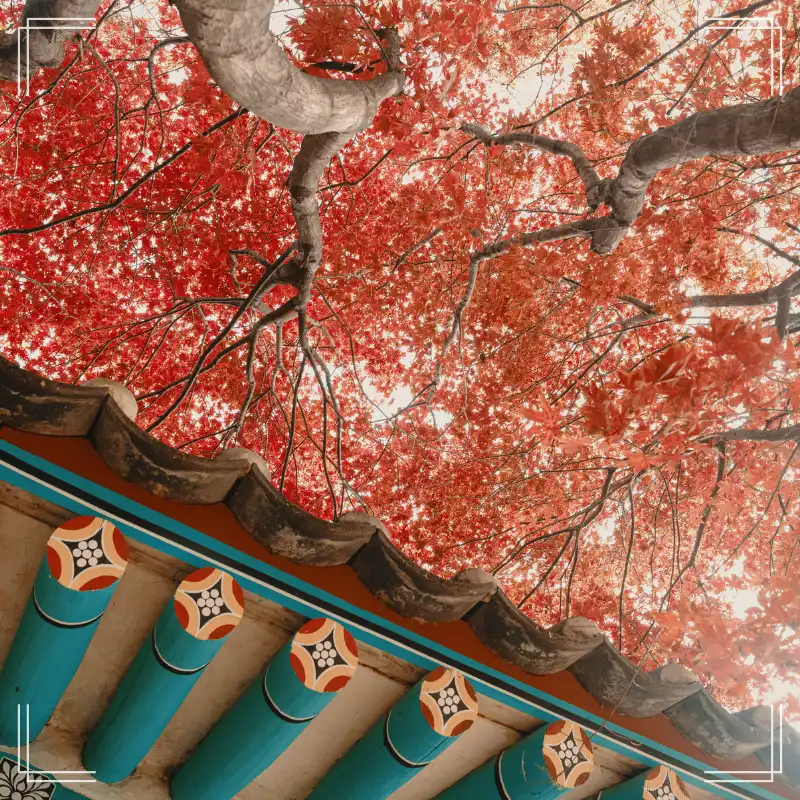 오대산