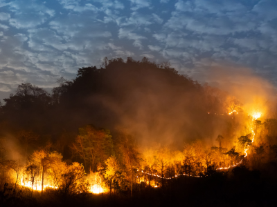 2025 산불 피해 보상 신청 방법