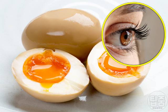 속눈썹 길어지는 음식 달걀 속눈썹연장