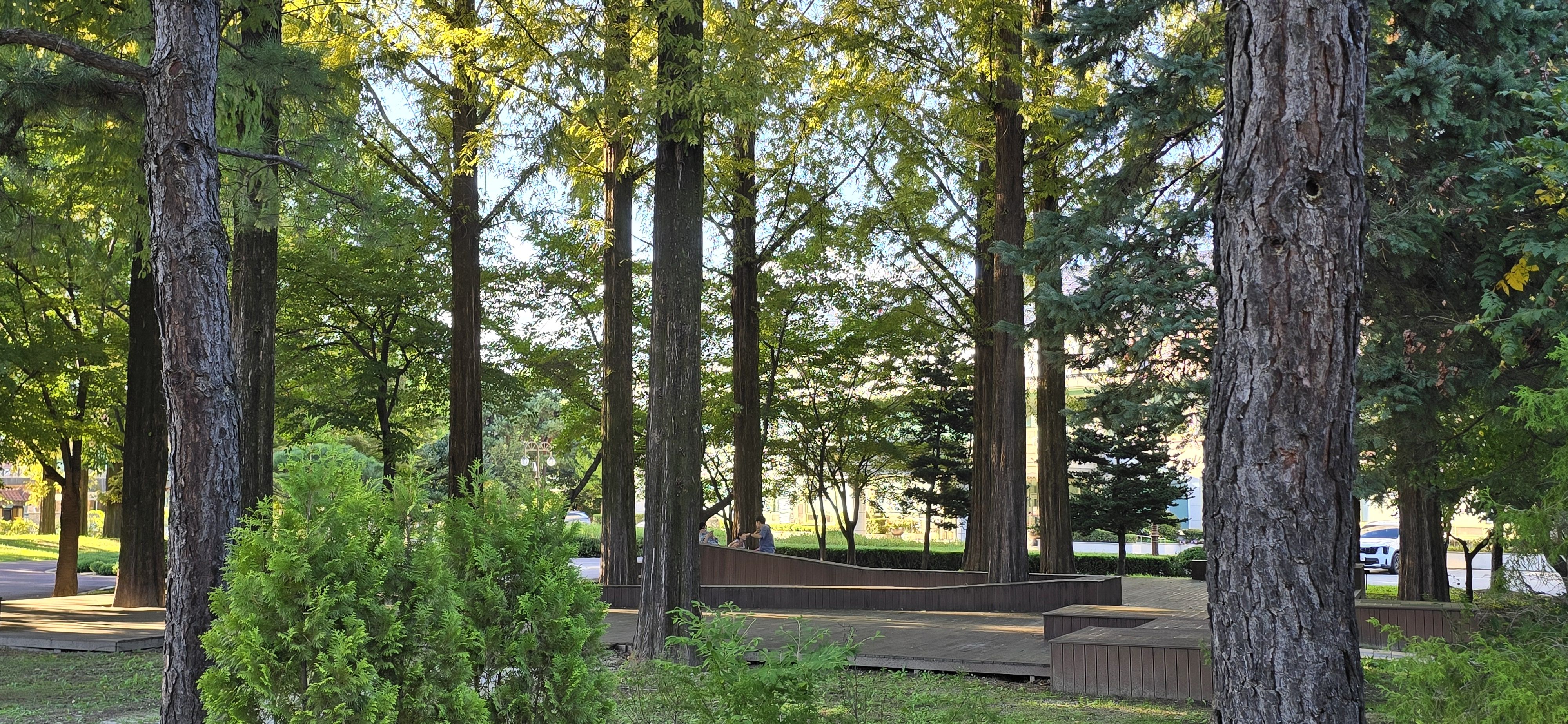 강원도립화목원