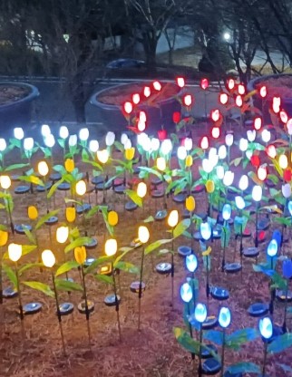 석모도 자연휴양림 숲나들e 국내 여행지 추천 관련 사진