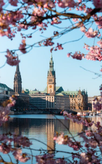 2025년 서울 벚꽃개화시기 예측(+서울 벚꽃 명소추천)