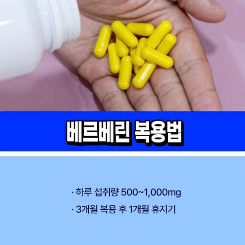 베르베린 복용법