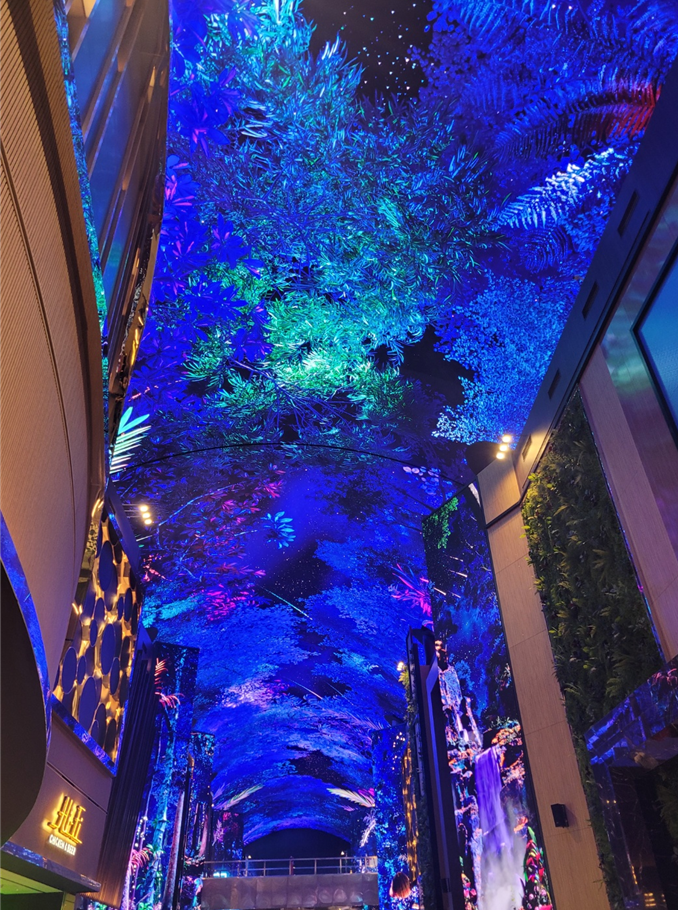 인스파이어 오로라