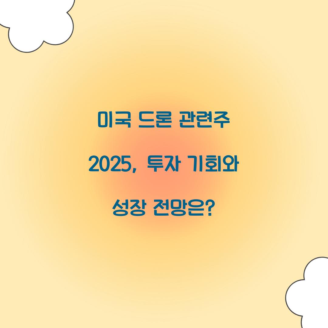 미국 드론 관련주 2025
