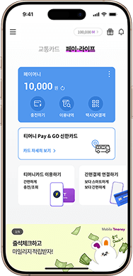 교통카드 결제 실패 원인과 설정 확인 체크리스트