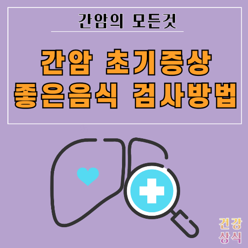 간암 초기증상 좋은음식 검사방법