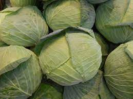 위에 좋은 음식 총정리