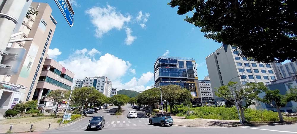 제주 여름소리 매미의 노래