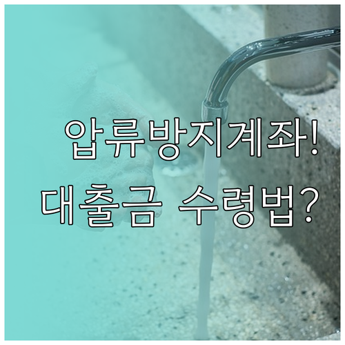 압류방지 전용계좌 대출금 수령 제한 ..