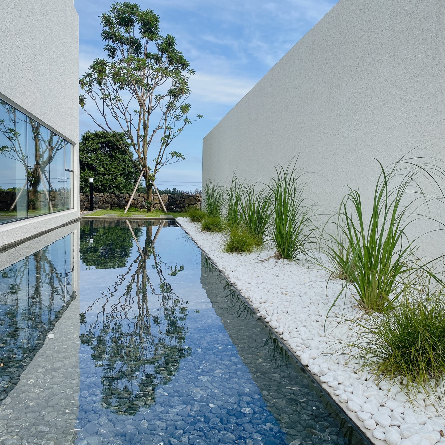 제주 서귀포 남원 휴애리 카페 우미 woomee