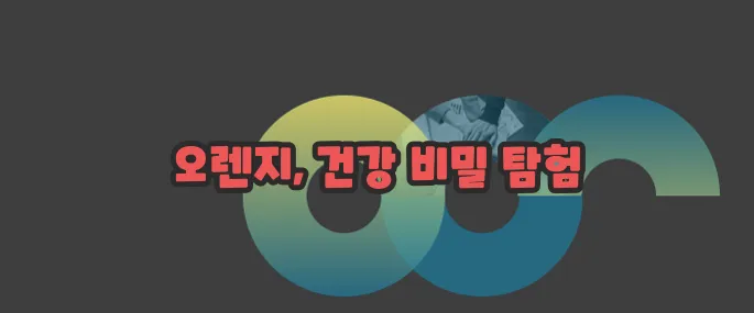 오렌지 효능 부작용 섭취방법 알아볼게요