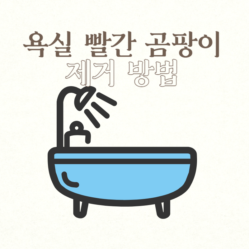 욕실 빨간 곰팡이