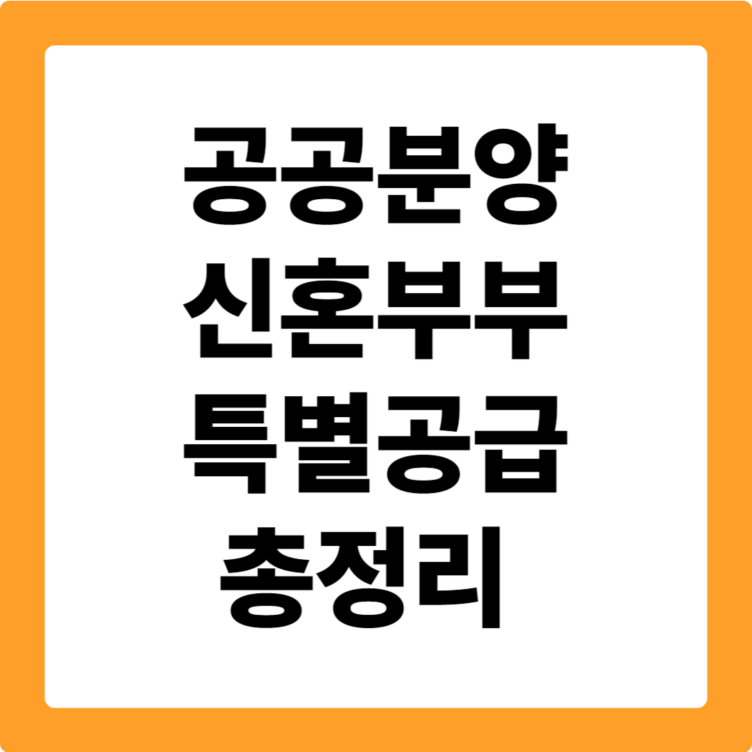 공공분양 신혼부부 특별공급