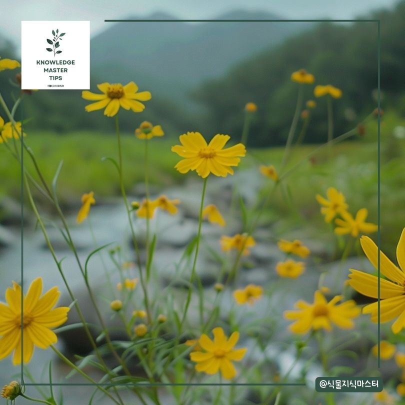 주요 서식지와 환경