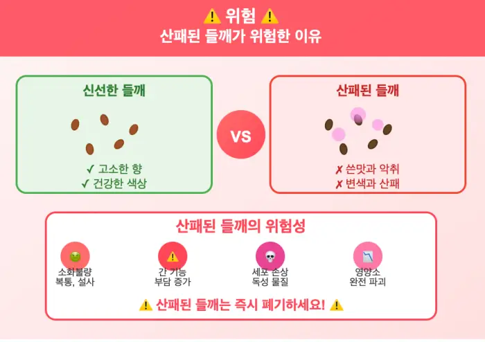 산패된 들깨가 위험한 이유