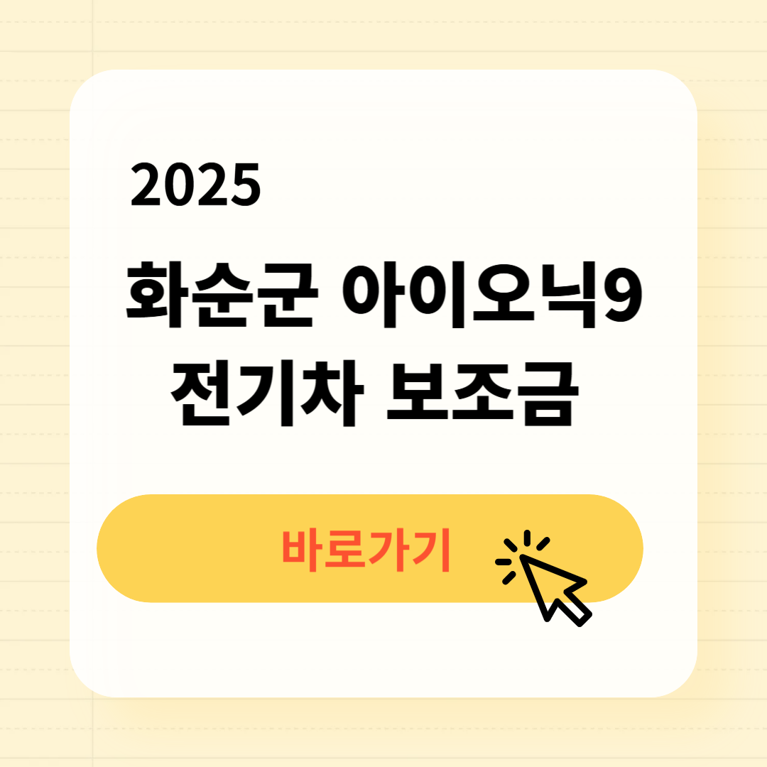 화순군 아이오닉9 전기차 보조금