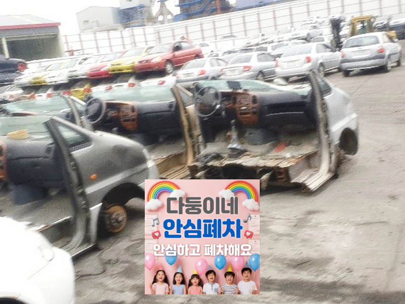 번호판 영치 사유 말소등록 확인