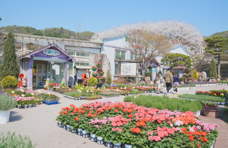 포천 허브아일랜드