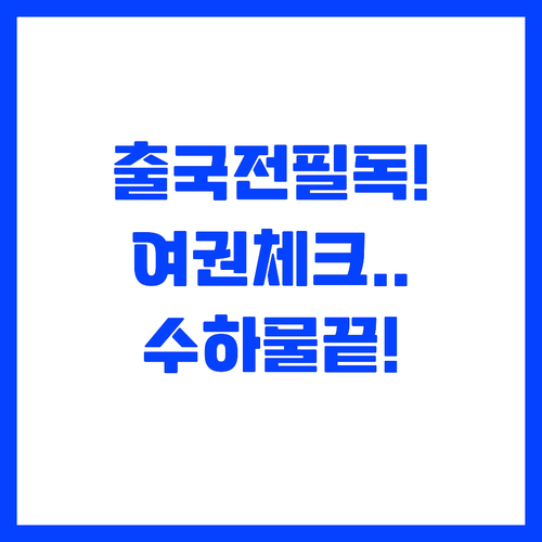 여권 만료일 확인부터 위탁 수하물 규..