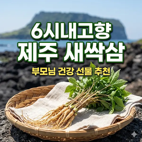 6시내고향 제주 새싹삼