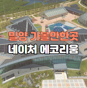 밀양 네이처 에코리움