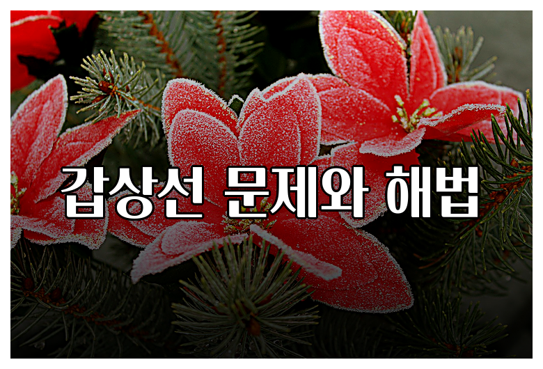 갑상선 문제와 해법