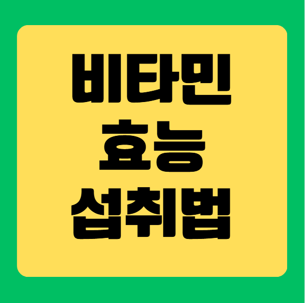 비타민C 효능과 섭취법 완벽 가이드