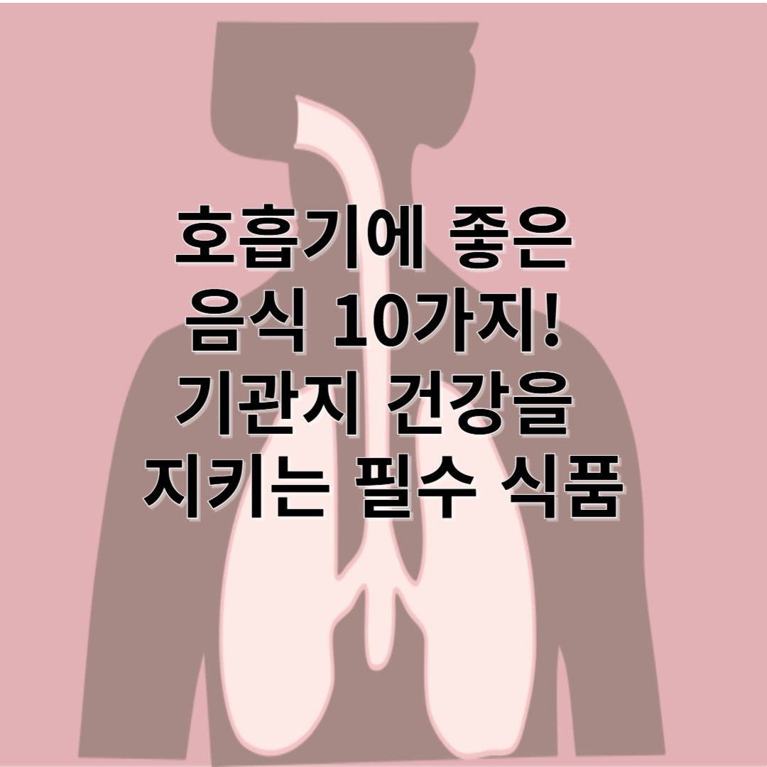 호흡기에 좋은 음식 10가지! 기관지 건강을 지키는 필수 식품