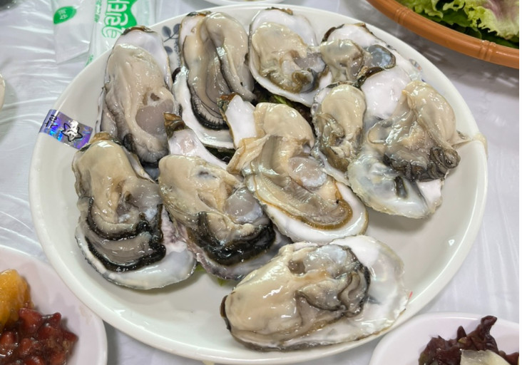 백반기행 화성 해산물 한 상 맛집(궁평항)