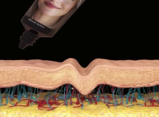 옥순 크림 효과