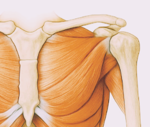 오십견 치료방법