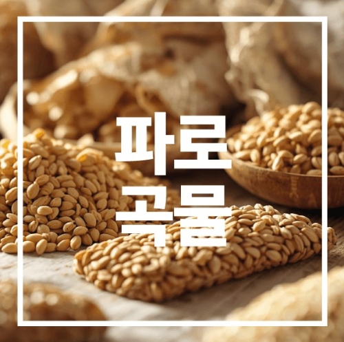파로곡물 효능