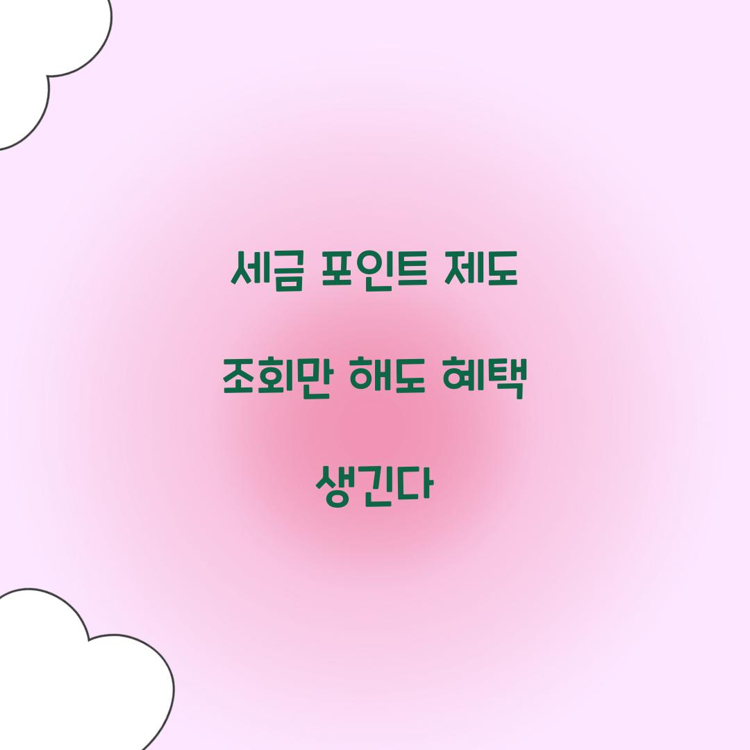 세금 포인트 제도 조회만 해도 혜택 생긴다  