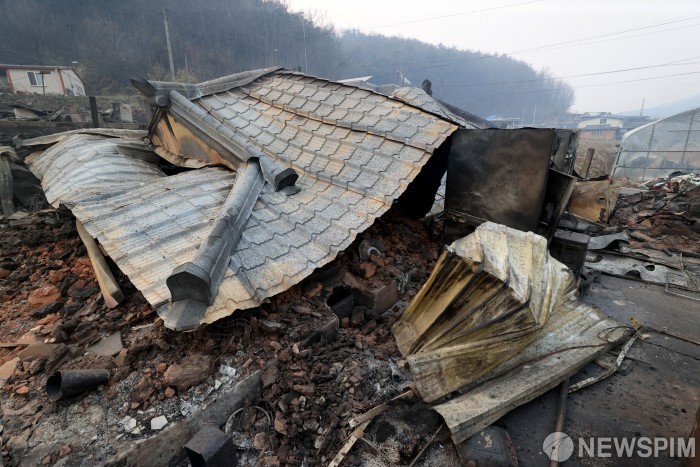 영양 산불 피해 관련 사진